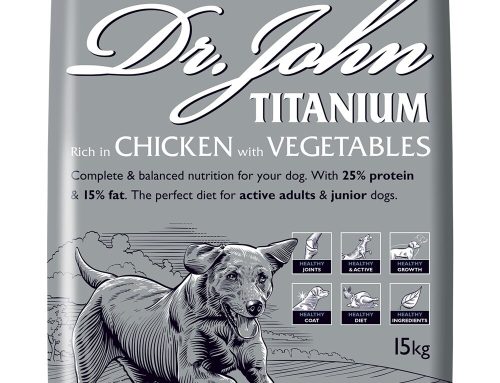 Where to buy the best pet food