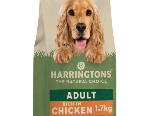 Proper care for your pet toys